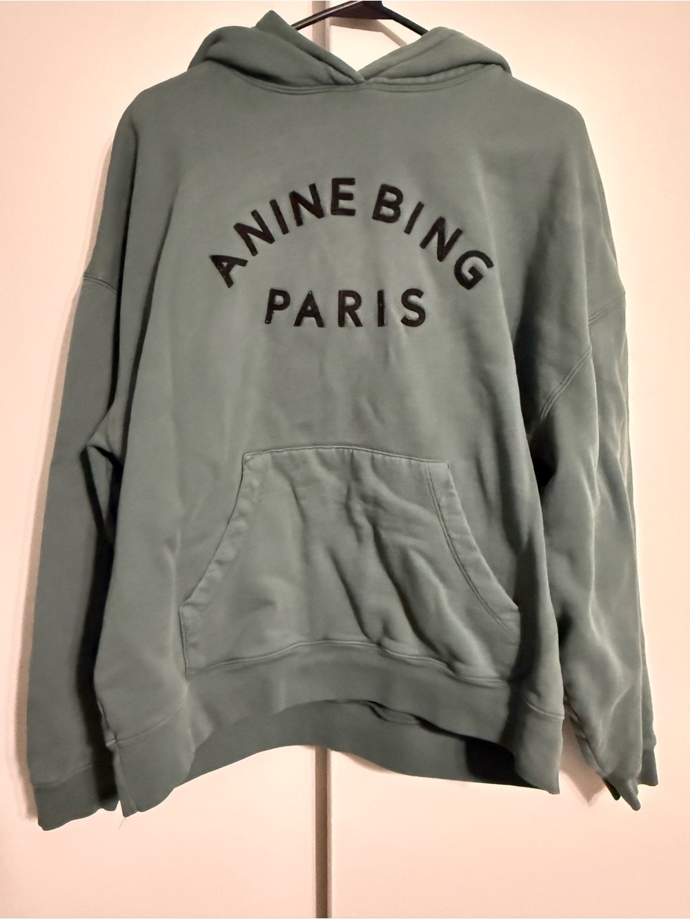 Anine bing hoodie